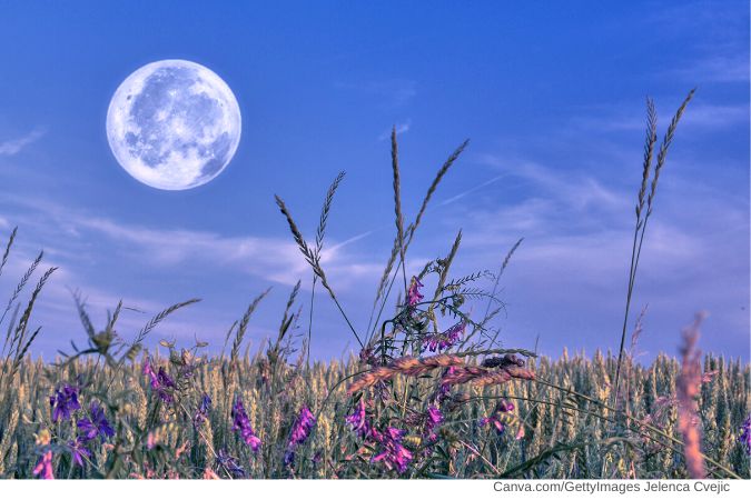 Mondkalender - Leben mit dem Mond